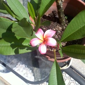 Meet your Posher, Whitney